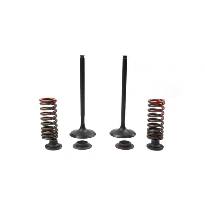 Psychic Intake Valve And Spring Kit KTM 450 540 520 525 Memo