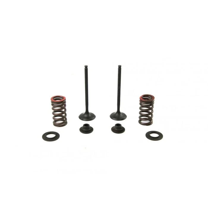 Psychic Intake Valve And Spring Kit KX250F 04-06 RMZ250F