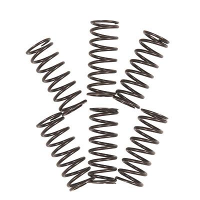 Tusk Clutch Springs - TS1039 - 2010 Yamaha YZ250F